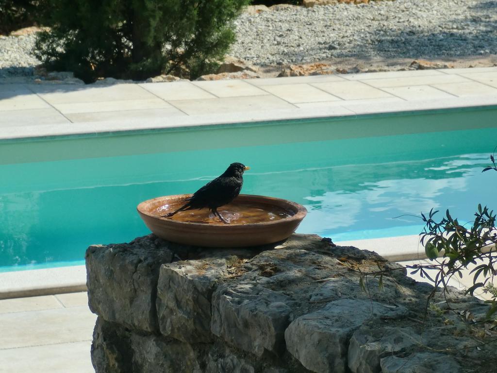 Villa Splendissima Krk - Adults Only Крк Екстер'єр фото